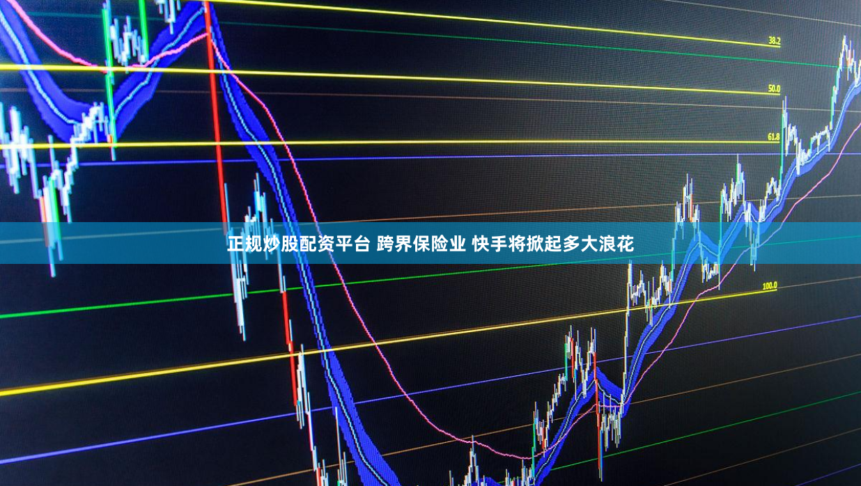 正规炒股配资平台 跨界保险业 快手将掀起多大浪花