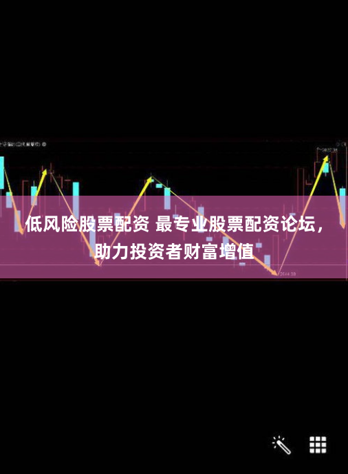 低风险股票配资 最专业股票配资论坛，助力投资者财富增值